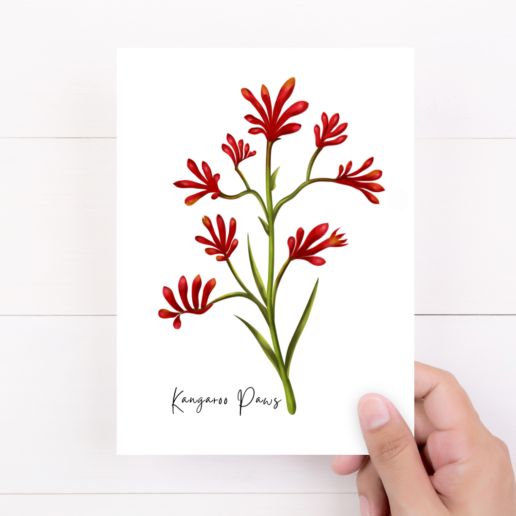 AGCC1006: Kangaroo Paw Flower Card