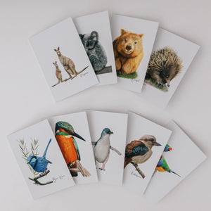 AGCC1009: Kangaroo Card