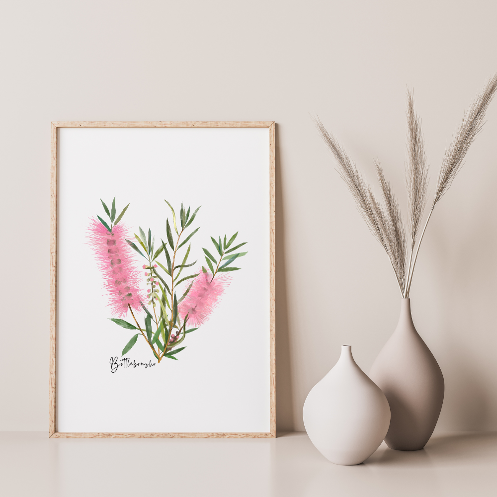 Poster | Bottlebrush Flower: Pink