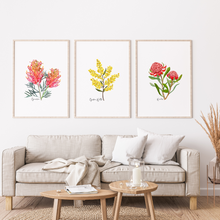 Load image into Gallery viewer, AGCP1003: Waratah Flower Poster
