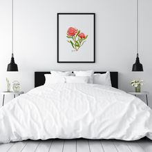 Load image into Gallery viewer, Poster | Waratah Flower

