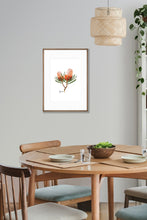 Load image into Gallery viewer, Poster | Banksia Flower
