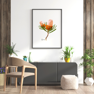 Poster | Banksia Flower