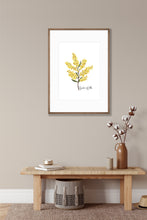 Load image into Gallery viewer, Poster | Wattle Flower
