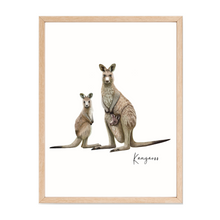 Load image into Gallery viewer, Poster | Kangaroo
