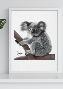Poster | Koala