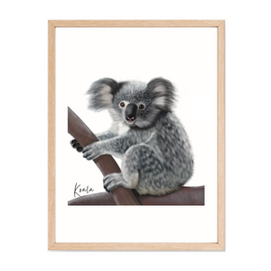 Poster | Koala