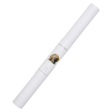 Load image into Gallery viewer, AGCP1012: Echidna Poster
