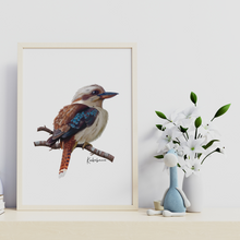 Load image into Gallery viewer, Poster | Kookaburra

