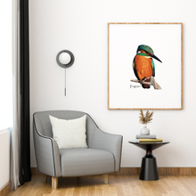 Load image into Gallery viewer, Poster | Kingfisher
