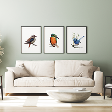 Load image into Gallery viewer, Poster | Kingfisher
