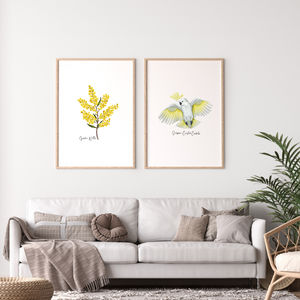 AGCP1018: Sulphur Crested Cockatoo Poster