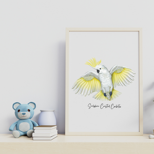 AGCP1018: Sulphur Crested Cockatoo Poster