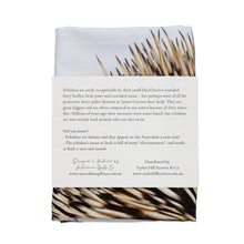 Load image into Gallery viewer, Aussie Icons Tea Towels – Wombat &amp; Echidna
