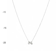 Load image into Gallery viewer, THSJ1102: Bicycle: Silver
